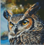 (image for) Great Horned Owl - LCL